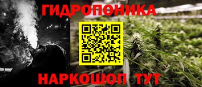 jwh Свободный
